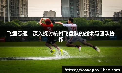 飞盘专题：深入探讨杭州飞盘队的战术与团队协作
